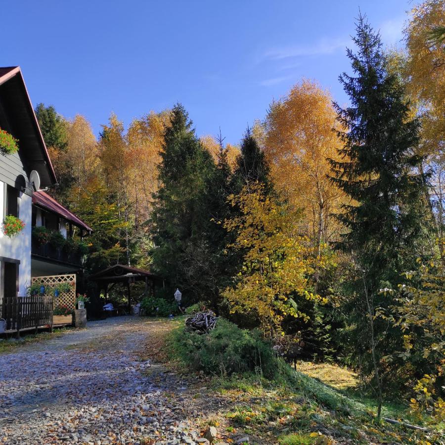 Kocia Górka Apartamento Wisła Exterior foto