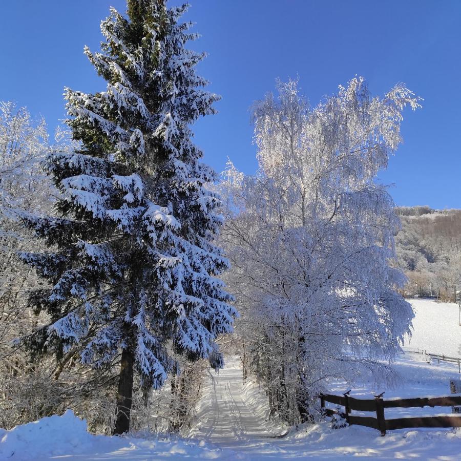 Kocia Górka Apartamento Wisła Exterior foto