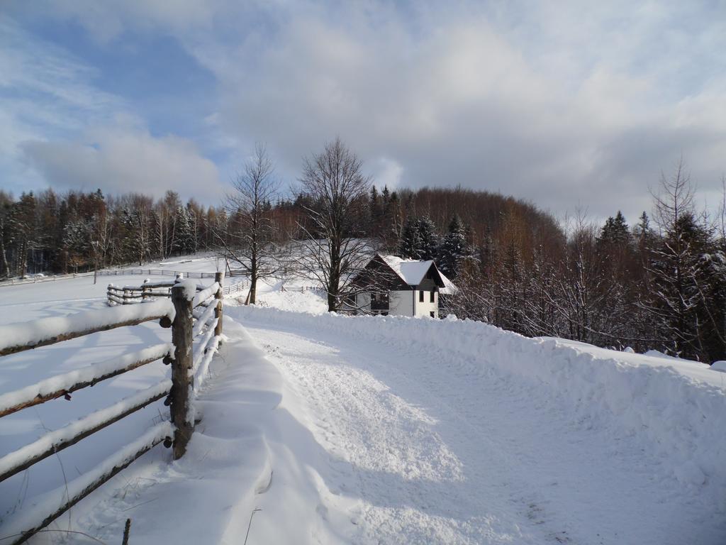 Kocia Górka Apartamento Wisła Quarto foto