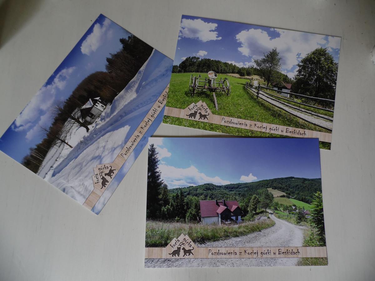 Kocia Górka Apartamento Wisła Exterior foto